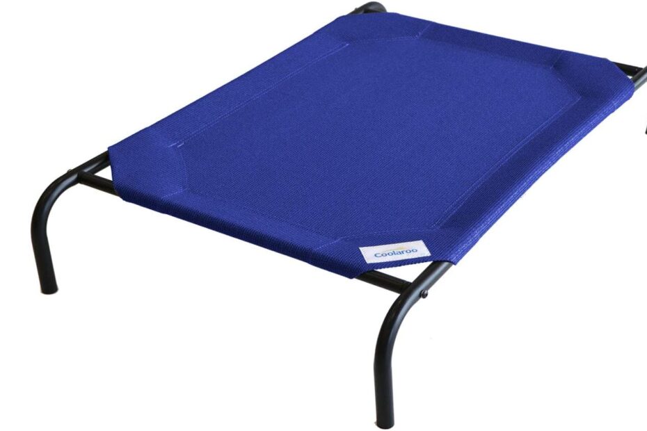 Keep Your Pup Cool & Comfortable: Coolaroo Elevated Dog Bed Review