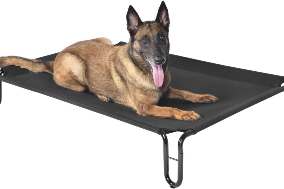 Keep Your Pup Cool: Review of the Pettycare Elevated Outdoor Dog Bed