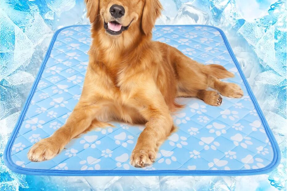 Keep Your Pup Cool: Rywell Self-Cooling Mat Review