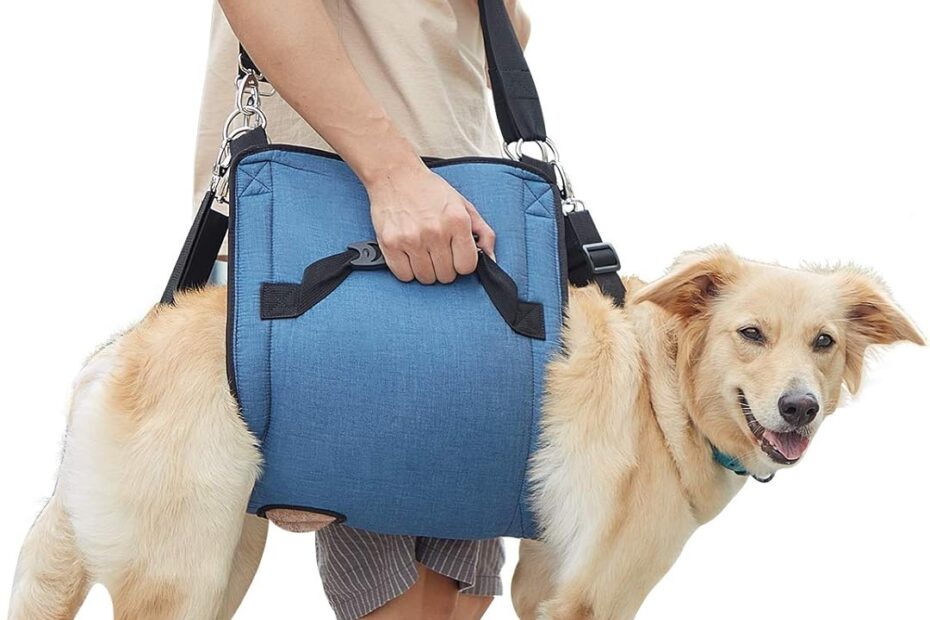 Lift & Carry with Comfort: COODEO Dog Carry Sling for Senior Dogs!