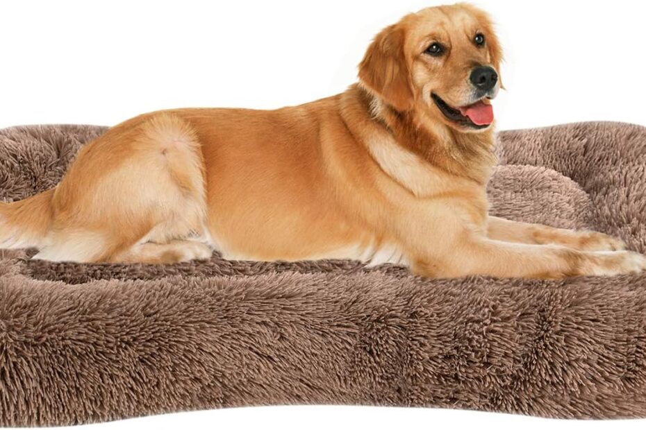 Luxury Comfort for Your Pup: Coohom Deluxe Plush Dog Bed Review