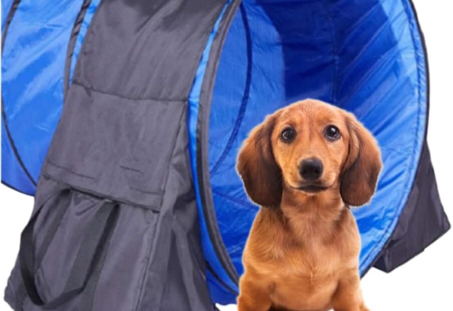 Master Agility Training: The Essential Dog Tunnel Sandbags Review