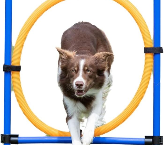 Master Obedience with the TRIXIE Dog Agility Ring: Your Guide to Fun Training!