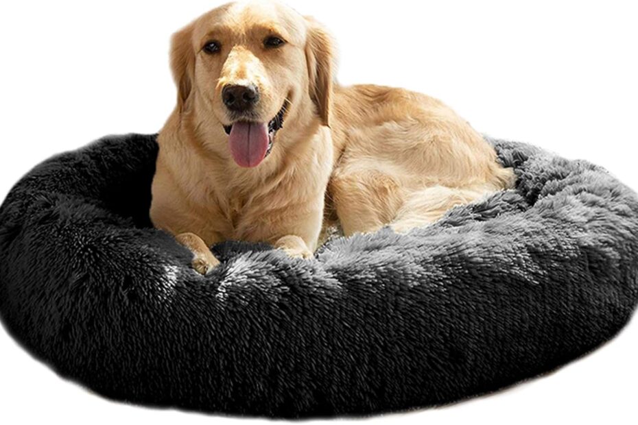 MFOX Calming Dog Bed: The Ultimate Comfort for Your Medium to Large Pooch!