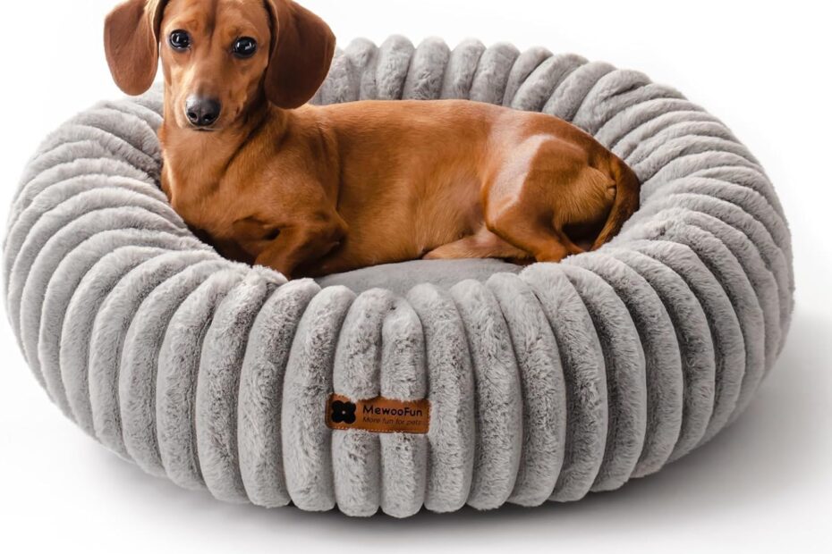 Pamper Your Pup: MEWOOFUN Donut Dog Bed Review for Cozy Comfort