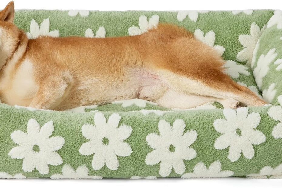 Pamper Your Pup: Review of the Lesure Cozy Orthopedic Dog Bed
