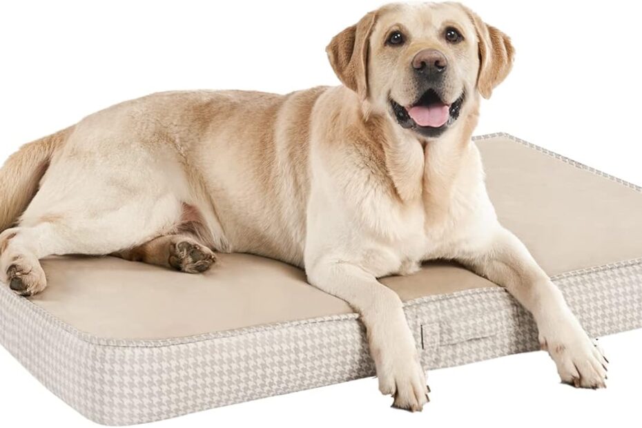 Revitalize Your Dog's Comfort: The Ultimate Orthopedic Memory Foam Bed Review