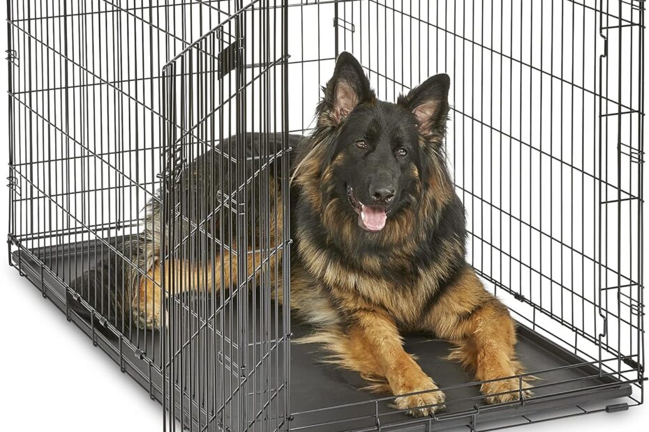 Secure and Comfortable: A Review of the MidWest Homes iCrate Dog Crate