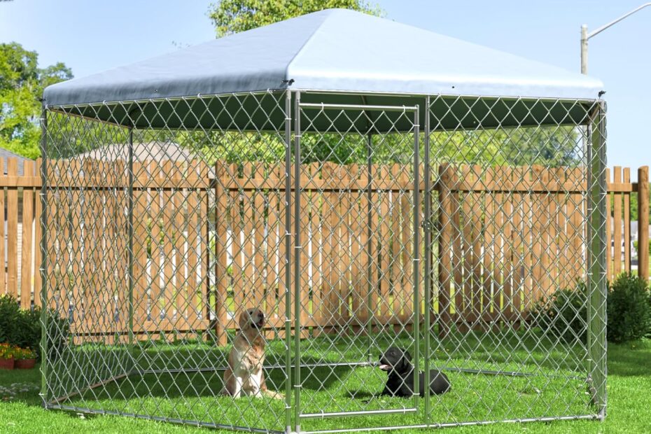 Secure and Spacious: DAKITO Outdoor Dog Kennel Review