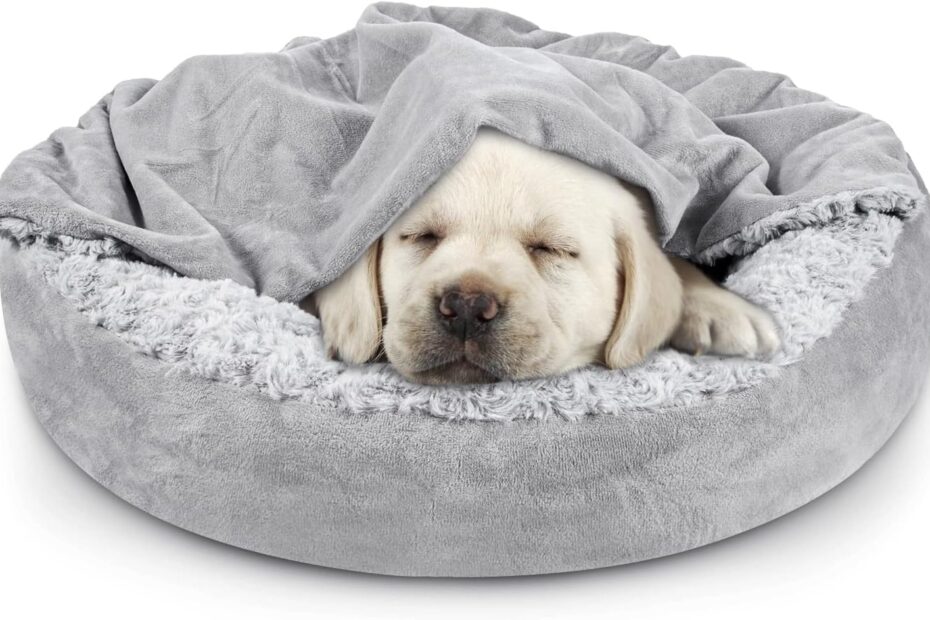 Snuggle in Style: The JOEJOY Cozy Donut Bed for Small Dogs & Cats