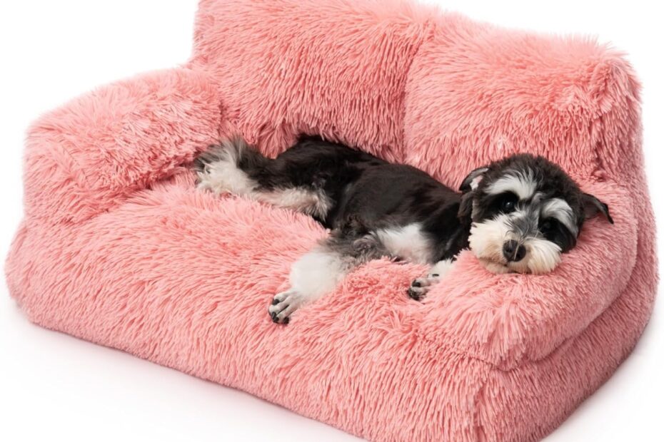 Snuggle Up in Style: Mewoo Dog Couch Review for Cozy Pets!