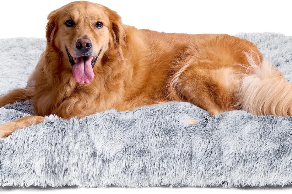 Snuggle Up: The Ultimate EHEYCIGA Fluffy Bed for Your Extra Large Dog!