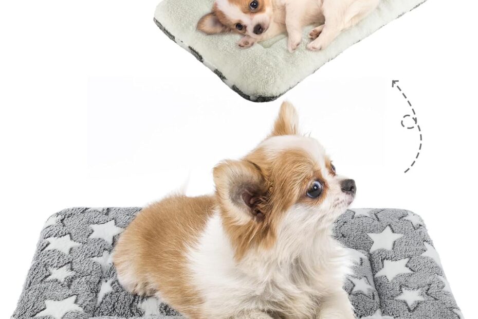 Snuggle Up: The Ultimate Review of Mora Pets Dog Bed Crate Pad for Your Furry Friends