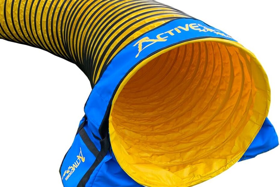 Stabilize Your Agility Set-Up: ActiveDogs No-Slip Sandbags in Review