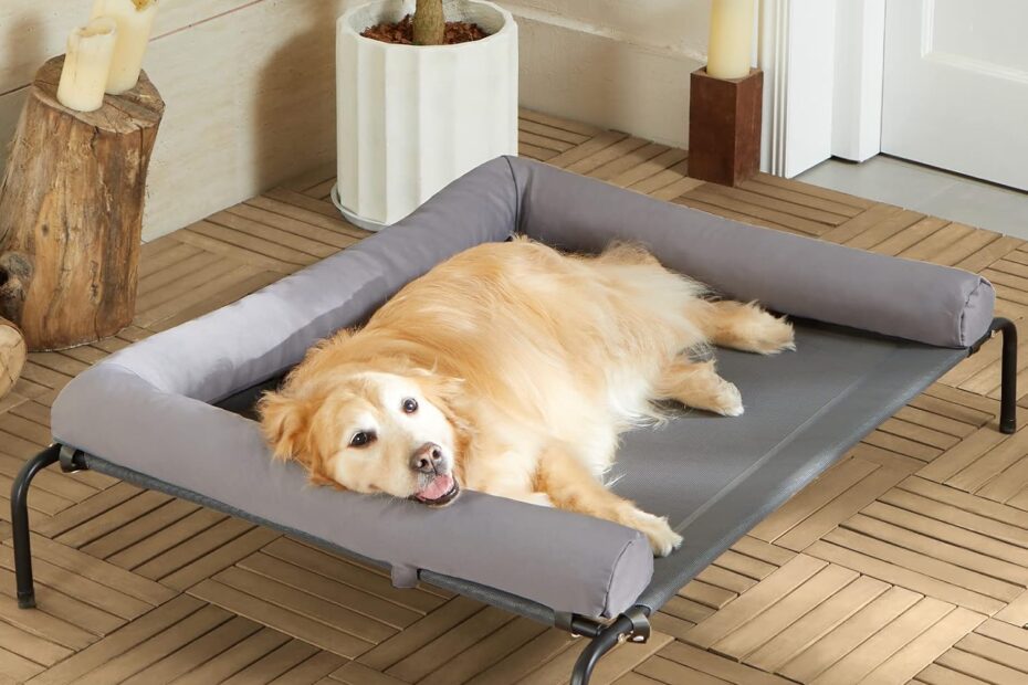 Stay Cool and Comfortable: The Ultimate Elevated Dog Bed for Large Breeds