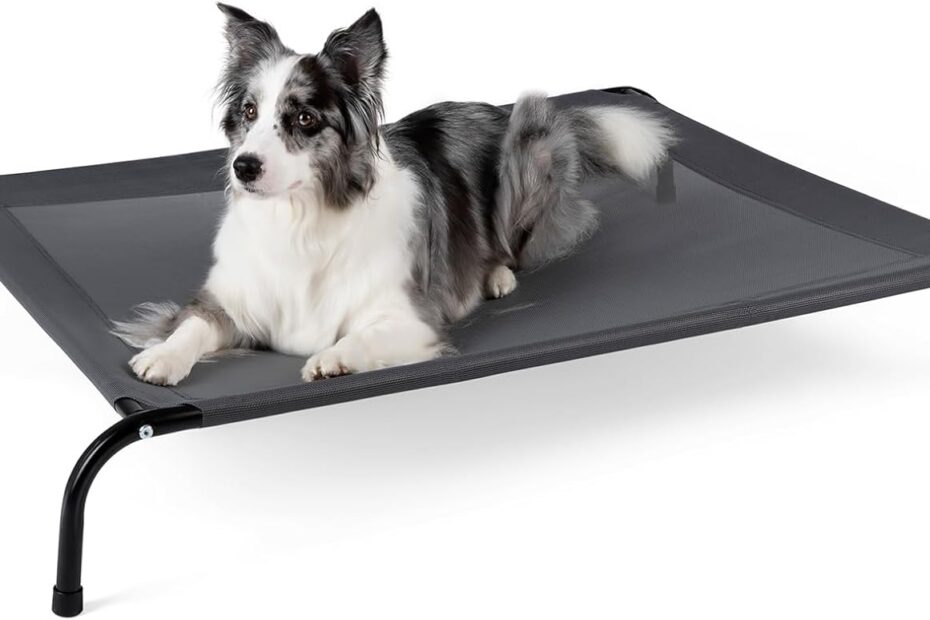 Stay Cool and Comfy: Review of the 50" Elevated Dog Bed for Large Dogs!