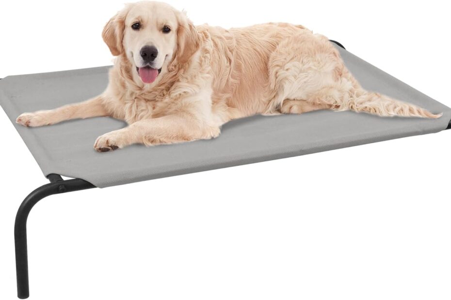 Stay Cool and Comfy: Review of the PHYEX Elevated Dog Bed for Large Dogs