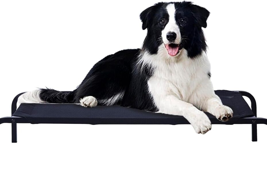 Stay Cool and Comfy: Review of the Portable Elevated Pet Bed