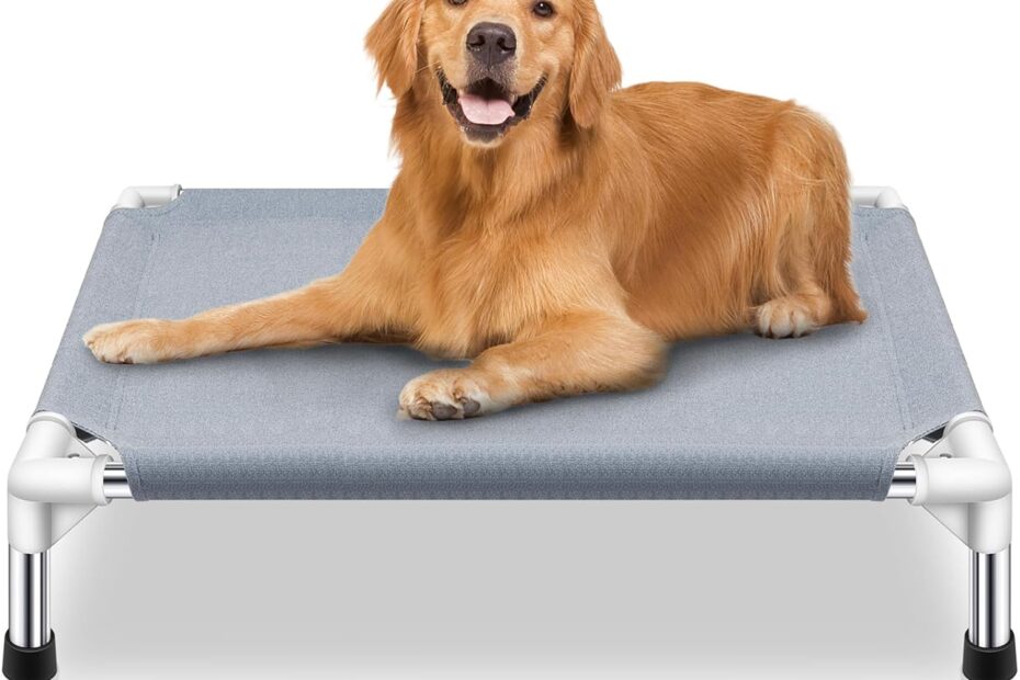 Stay Cool and Comfy: The Ultimate Elevated Dog Bed for Medium Pups