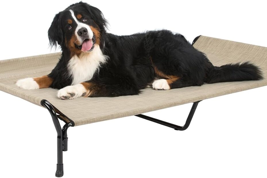 Stay Cool and Comfy: Veehoo Elevated Dog Bed Review