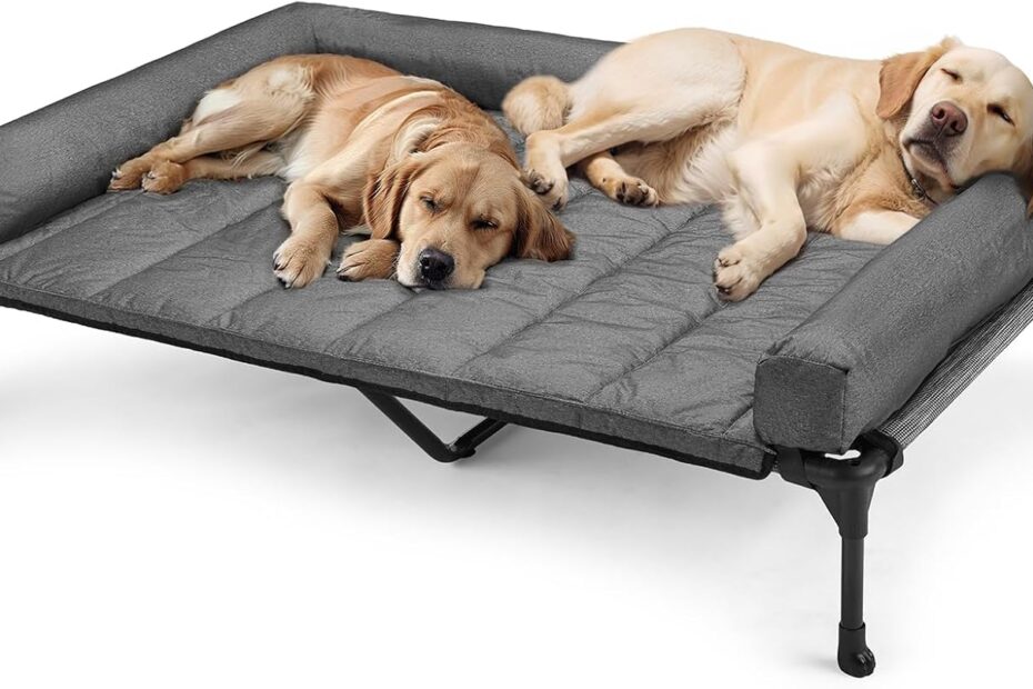 Stay Cool and Comfy: Veehoo Elevated Dog Bed Review