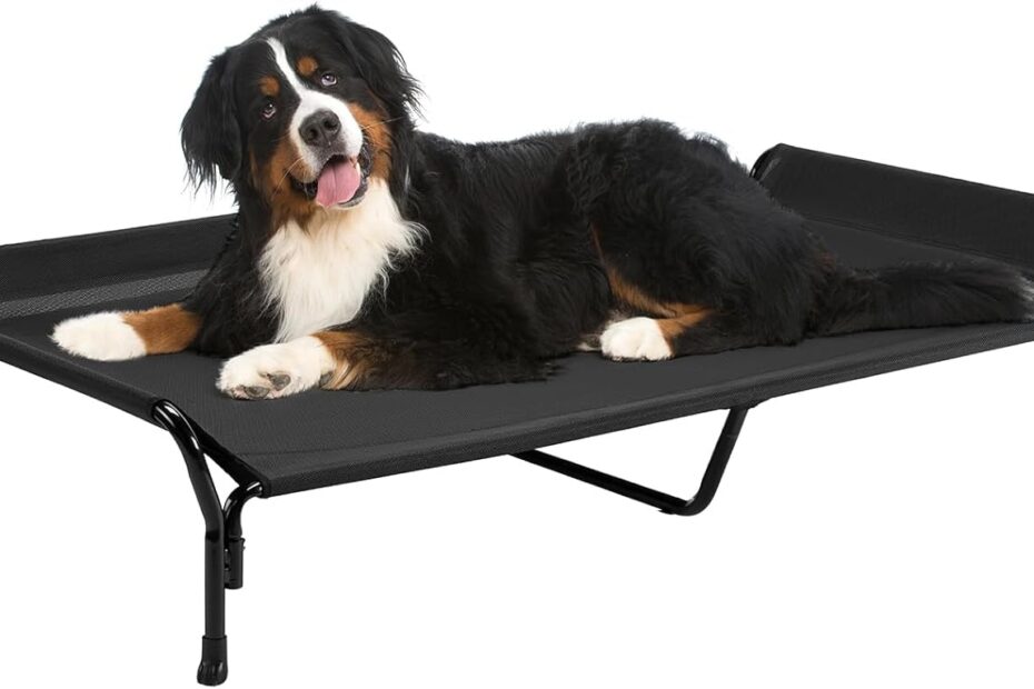 Stay Cool and Cozy: Veehoo Elevated Dog Bed Review