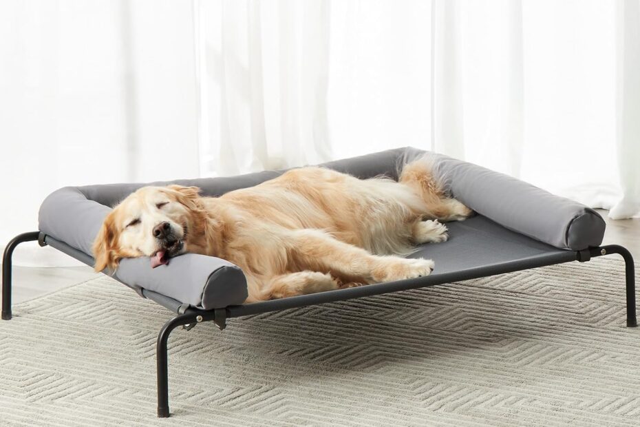 Stay Cool & Comfy: RRPETHOME Elevated Dog Bed Review