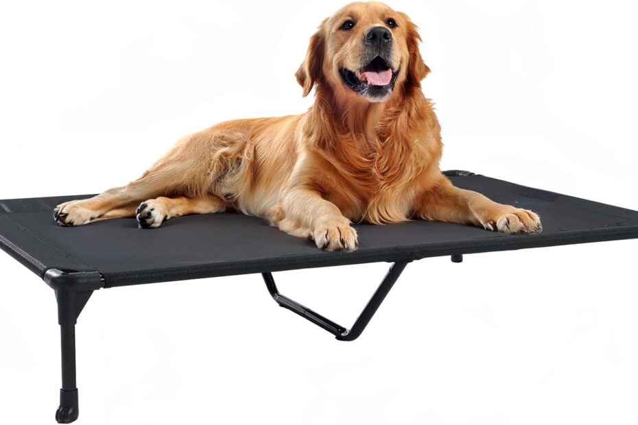 Stay Cool & Comfy: Veehoo Elevated Dog Bed Review