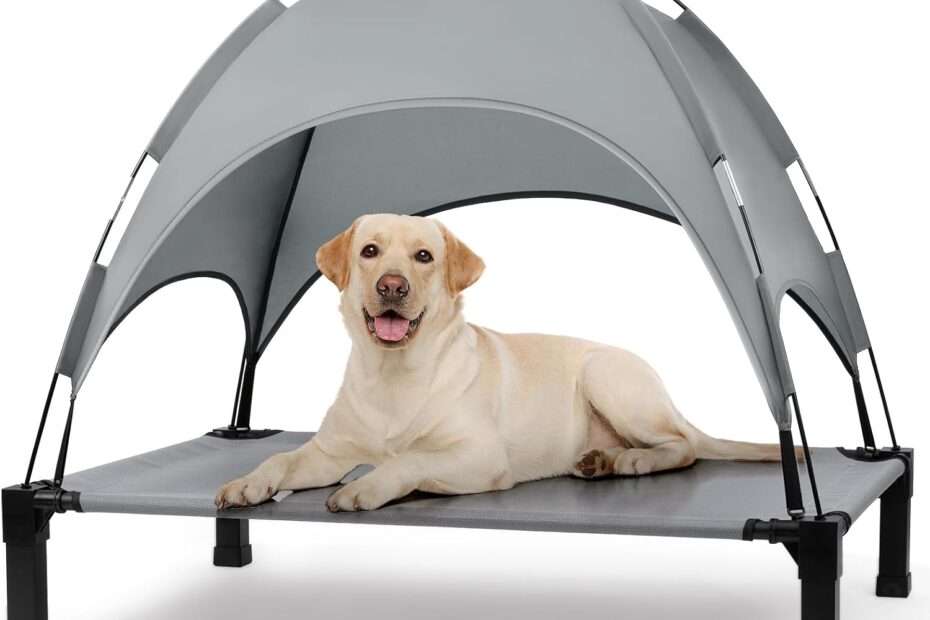 Stay Cool in Style: Review of the Heeyoo Elevated Dog Bed with Canopy