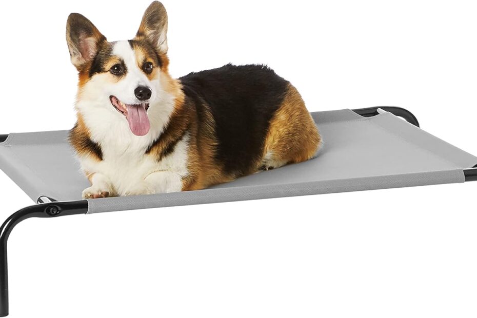 Stay Cool: Review of the Amazon Basics Elevated Dog Bed for Ultimate Comfort