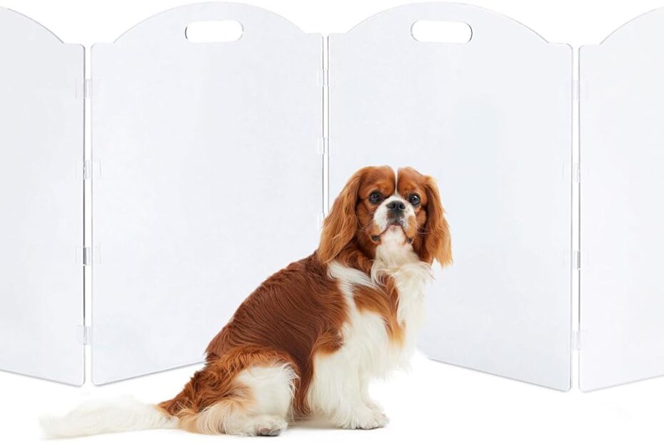 Stylish Safety: Review of the Clear Acrylic Dog Gate for Your Home