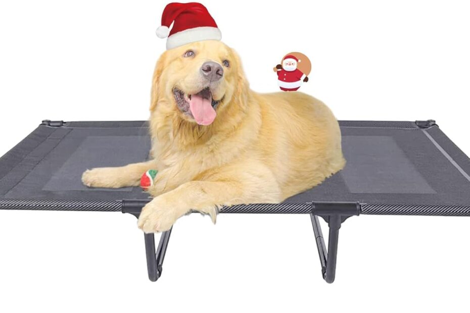 Suddus Elevated Dog Bed Review: The Ultimate Comfort Solution for Large Dogs!