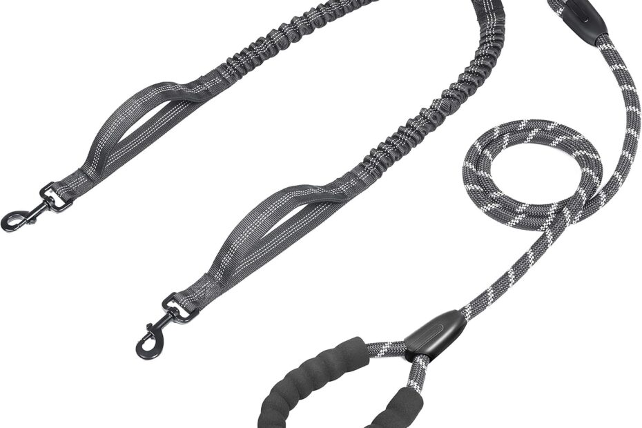 Tangle-Free Adventures: The Ultimate Double Dog Leash Review!