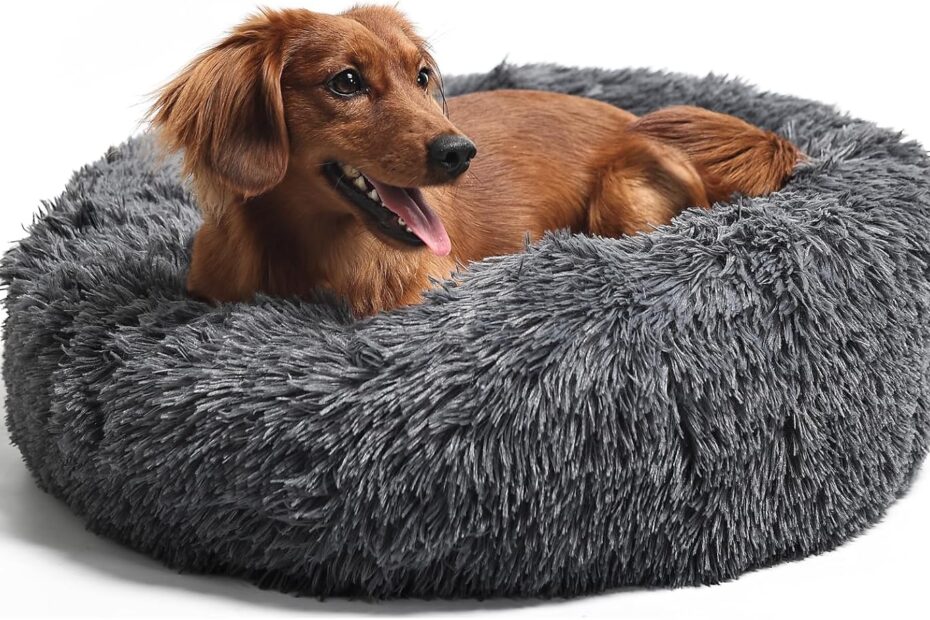 The Cozy Nest: Review of the Round Calming Dog Bed for Medium Dogs