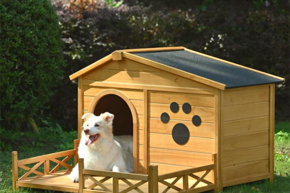 The Ideal Outdoor Retreat: Merax 48" Wooden Dog House Review