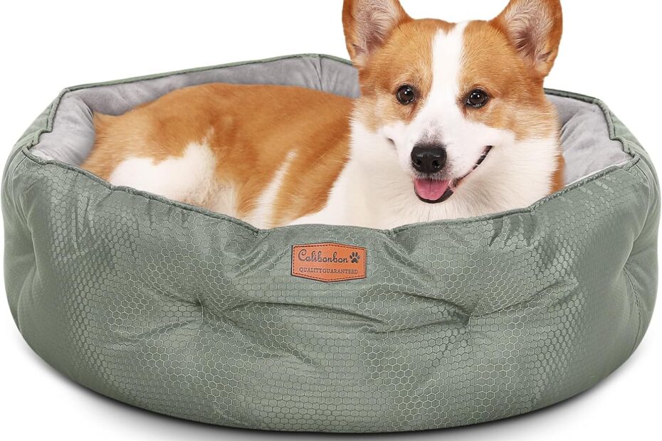 The Perfect Cozy Corner: Dual-Sided Dog Beds for Comfy Cats and Dogs!
