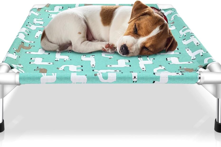 The Perfect Rest: Reviewing the Elevated Dog Bed for Small Pets