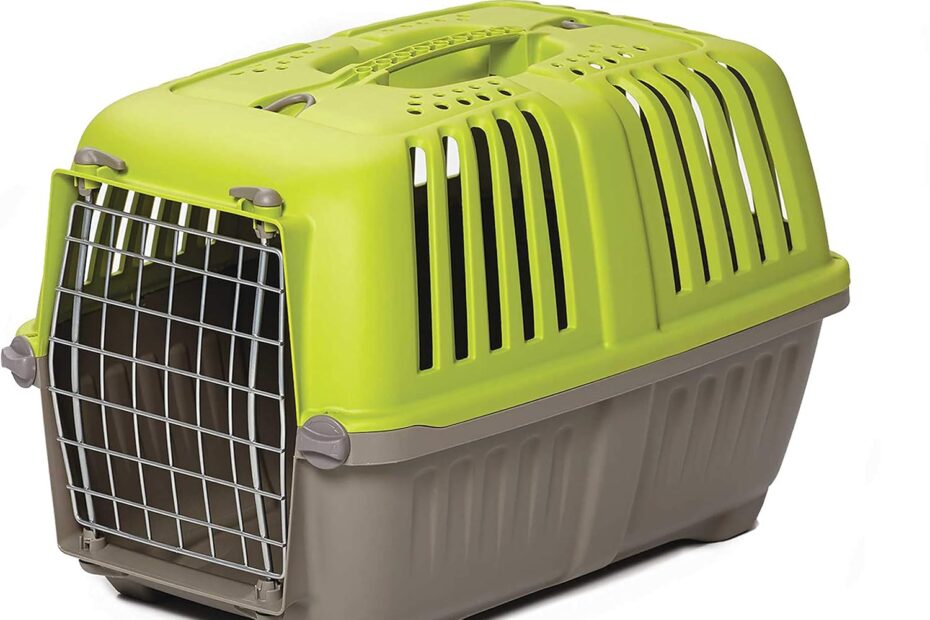 The Perfect Travel Companion: Review of MidWest Homes for Pets Hard-Sided Carrier