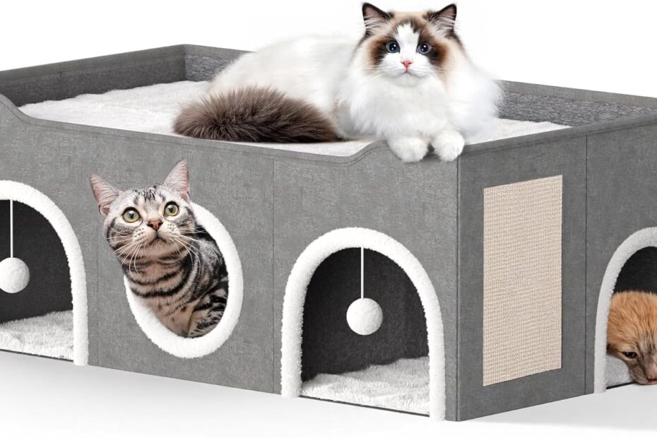 The Ultimate Cat Haven: Review of the All-in-1 Extra-Wide Cat House for Multi-Cat Families!
