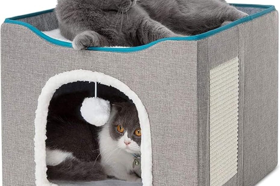The Ultimate Cat Retreat: Bedsure Cat Beds Review for Cozy Indoor Living