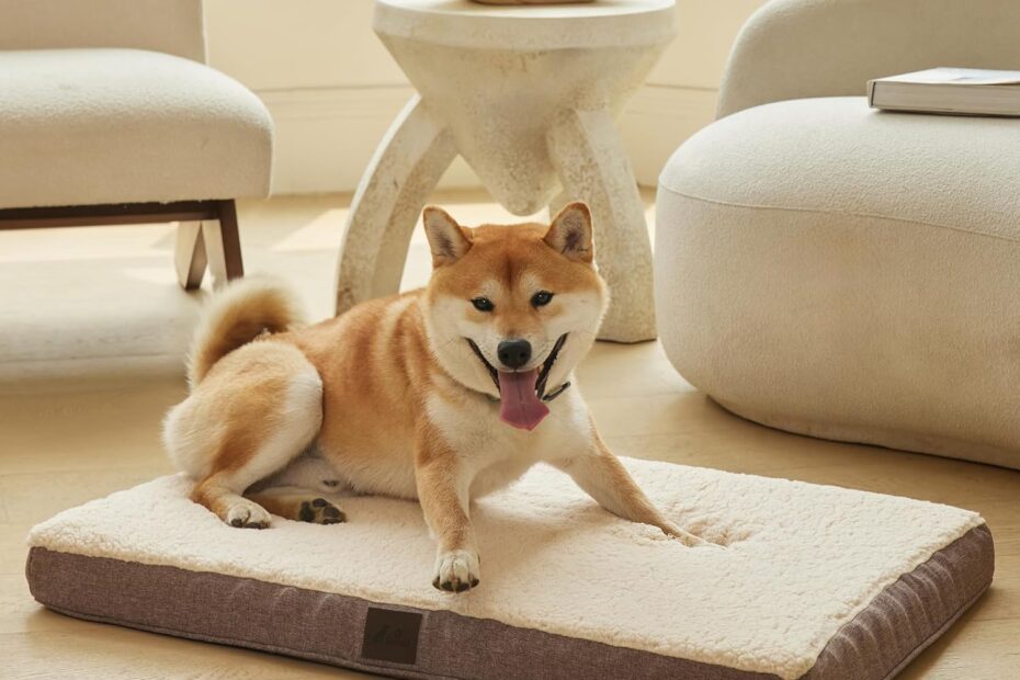 The Ultimate Comfort: DaysU Orthopedic Dog Bed Review for Large Breeds