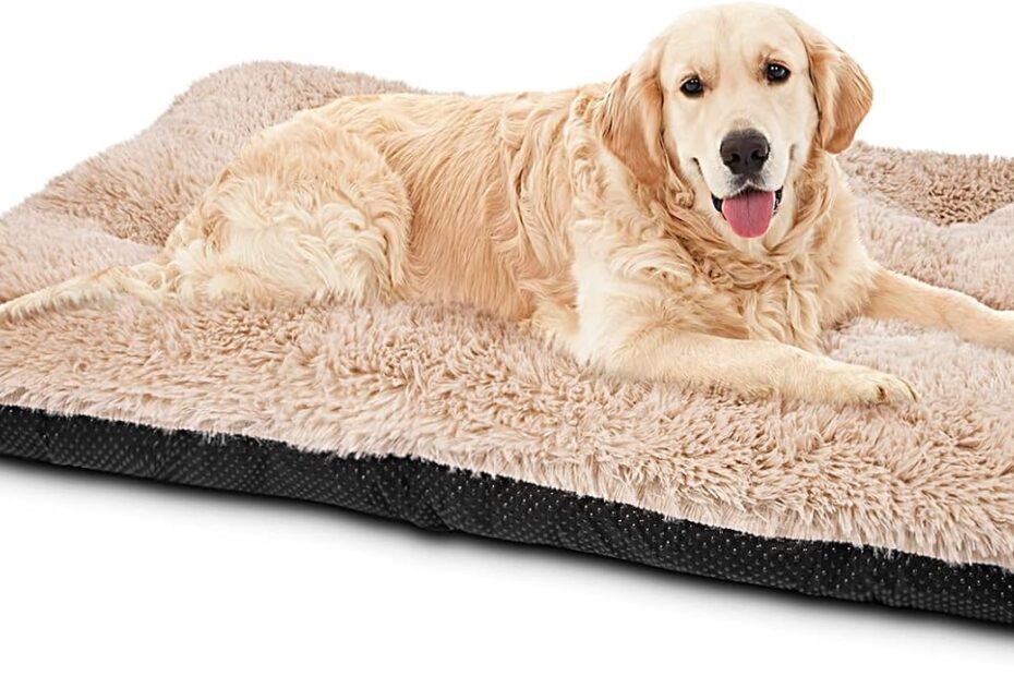 The Ultimate Comfort: JOEJOY Ultra Soft Calming Dog Bed Review