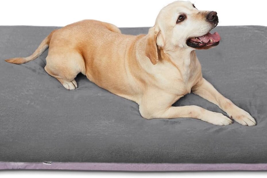 The Ultimate Comfort: Magic Dog Super Soft Large Dog Bed Review