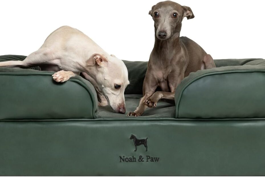 The Ultimate Comfort: NOAH & PAW Orthopedic Dog Bed Review