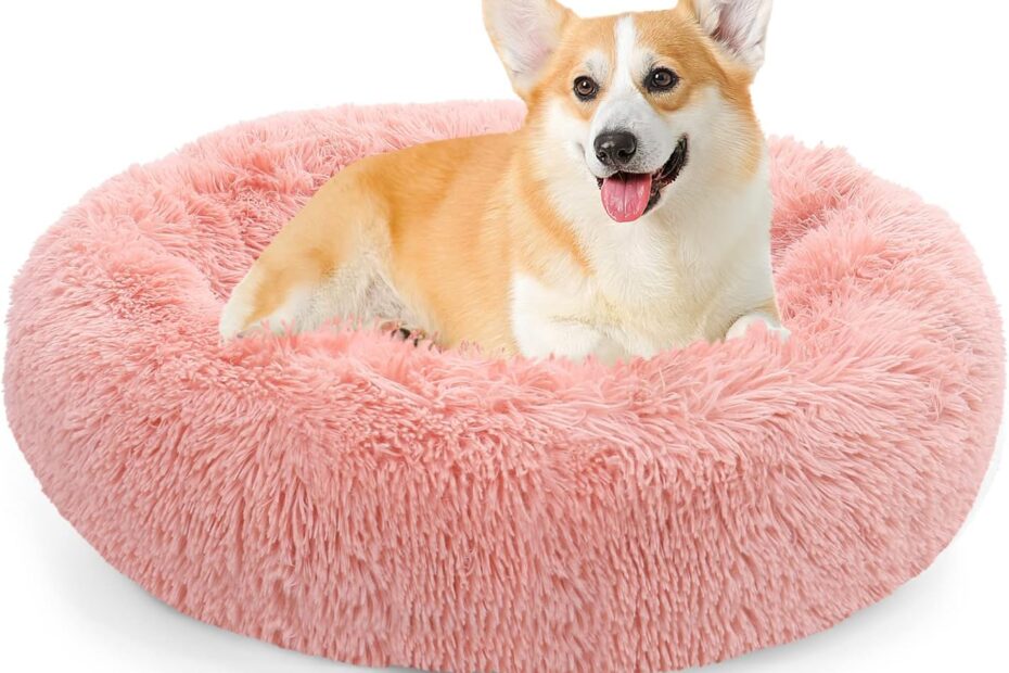 The Ultimate Comfort: NOYAL Calming Donut Pet Bed Review for Your Furry Friend