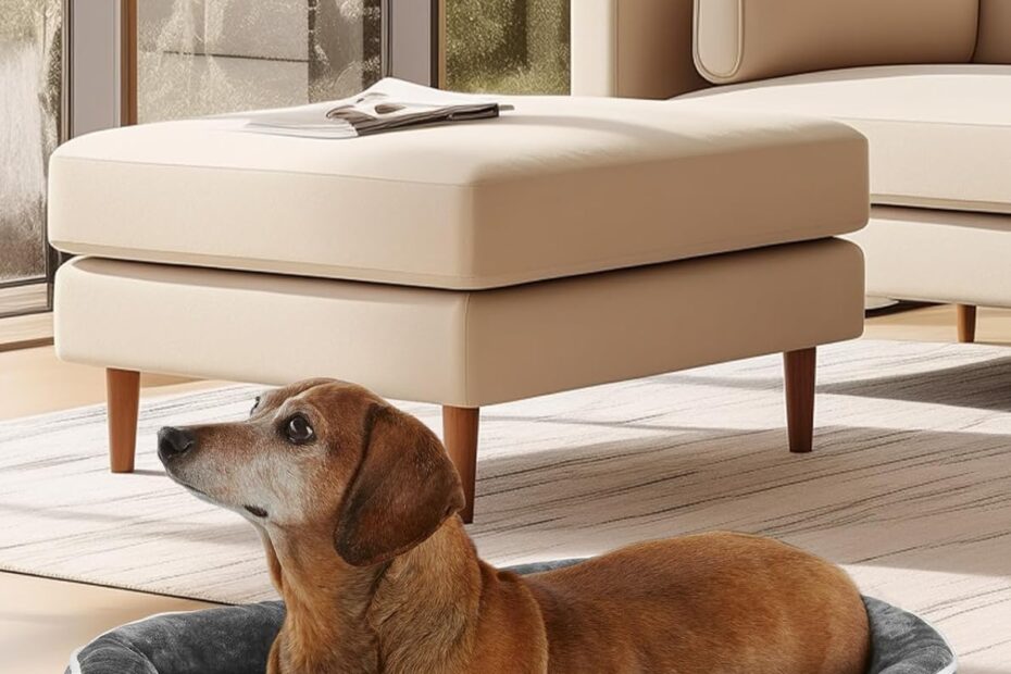 The Ultimate Comfort: OhGeni Orthopedic Dog Couch Review - Perfect Gift for Pet Dads!