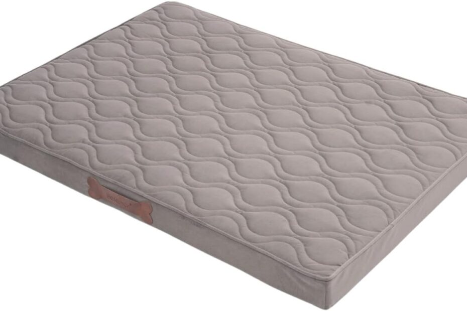 The Ultimate Comfort: Review of BALANCE Orthopedic Dog Crate Bed