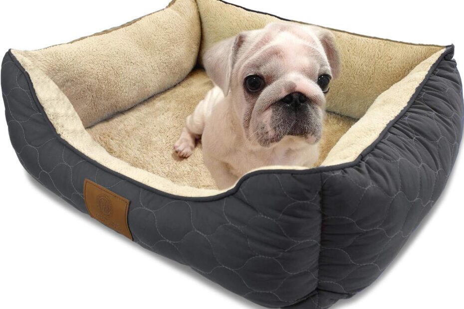 The Ultimate Comfort: Review of the AKC Orthopedic Circle Stitch Cuddler Pet Bed