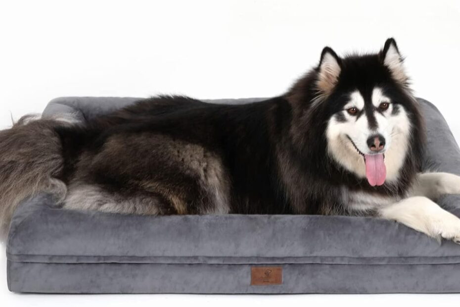 The Ultimate Comfort: Review of the Extra Large Waterproof Orthopedic Dog Bed