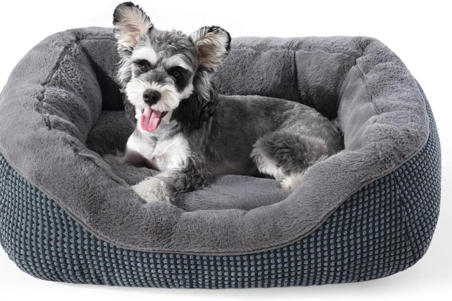 The Ultimate Comfort: Review of the INVENHO Small Dog & Cat Bed